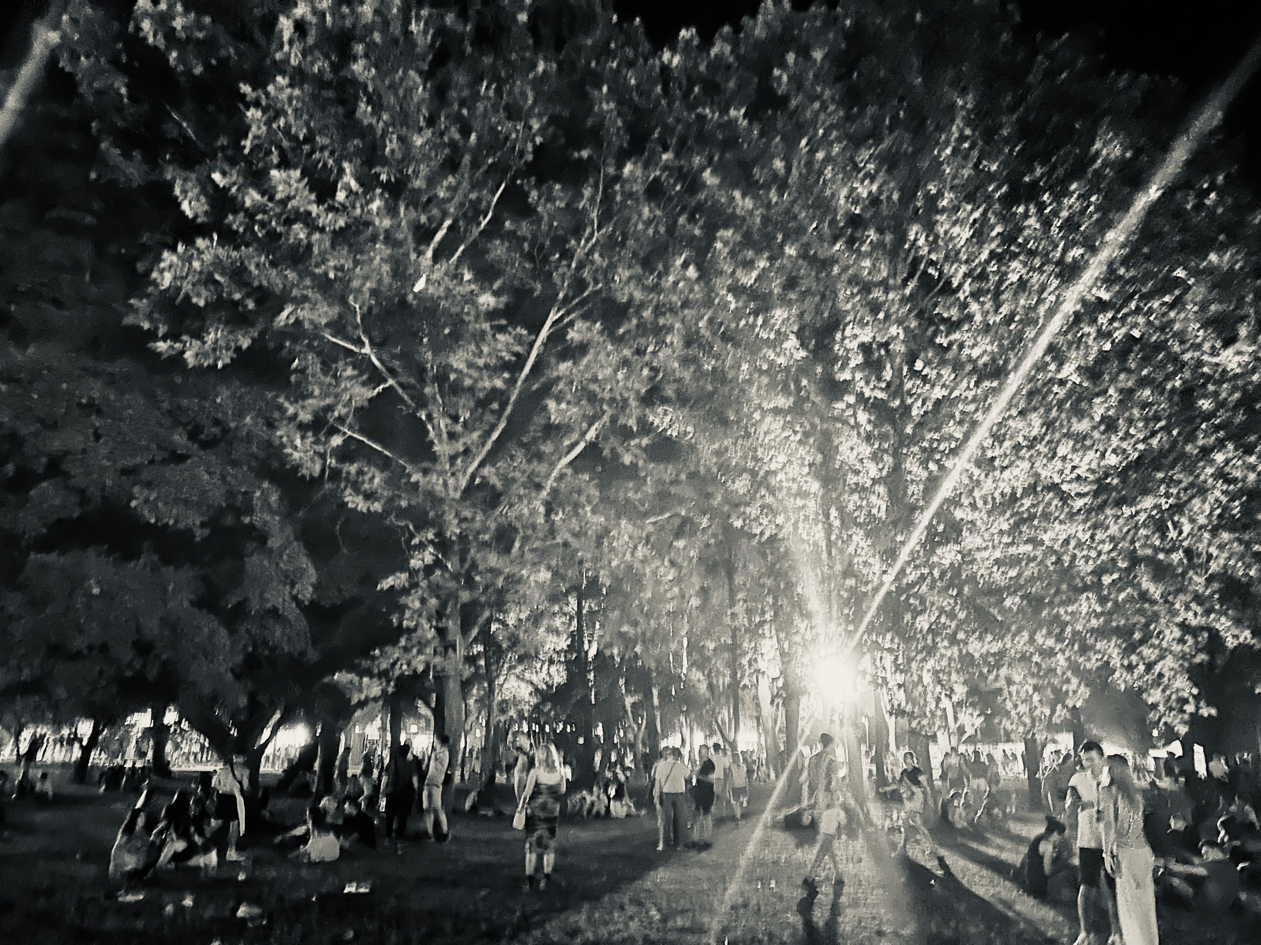sziget